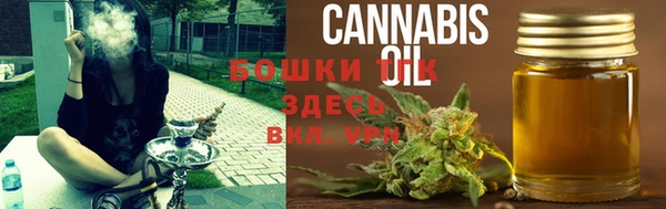амф Богородицк