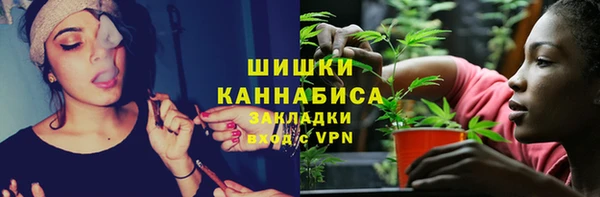 амф Богородицк