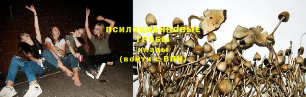 амф Богородицк