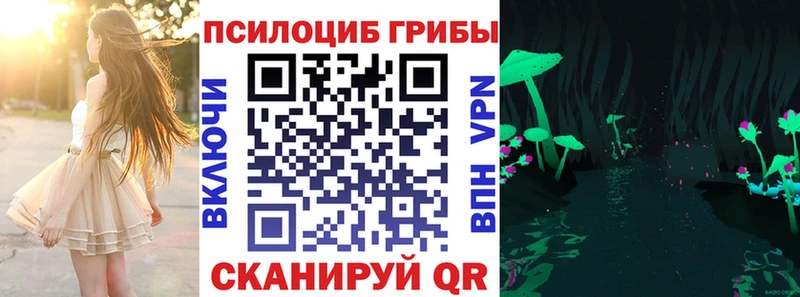 Купить закладки  Судак  Галлюциногенные грибы мицелий 
